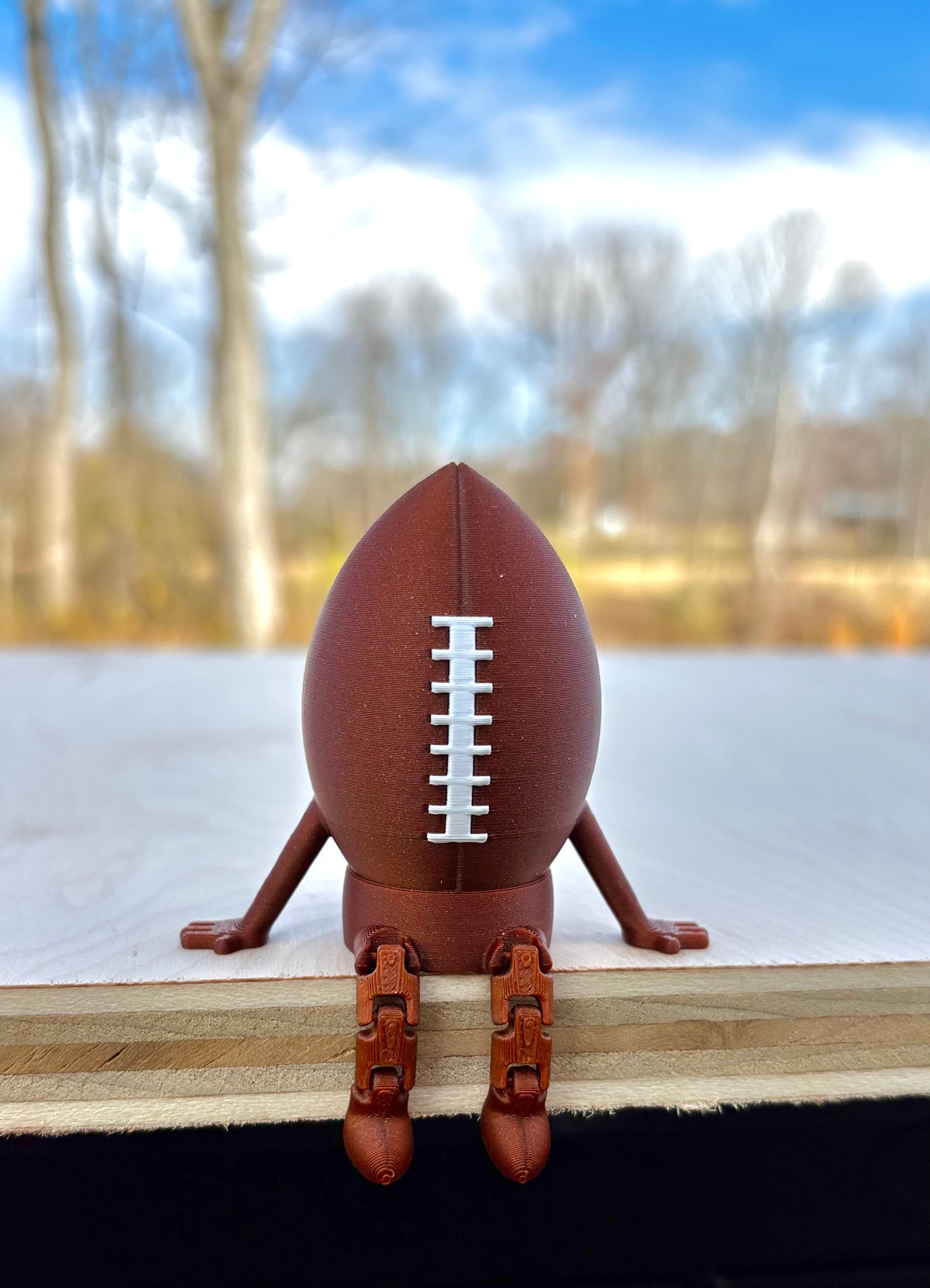 Football Buddy, Football Collectible, Football Gift, NFL Gift