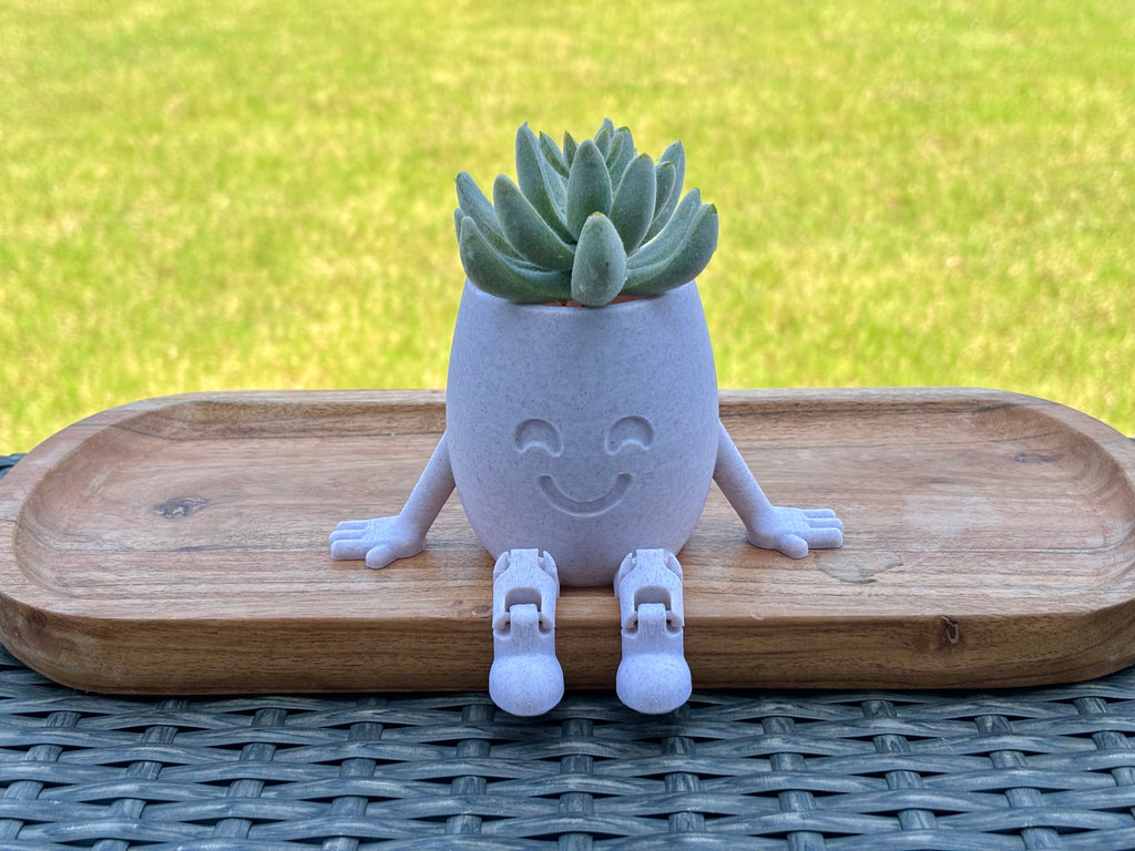 Happy Planter Pot, Succulent Planter, Succulent Pot, Indoor Planter