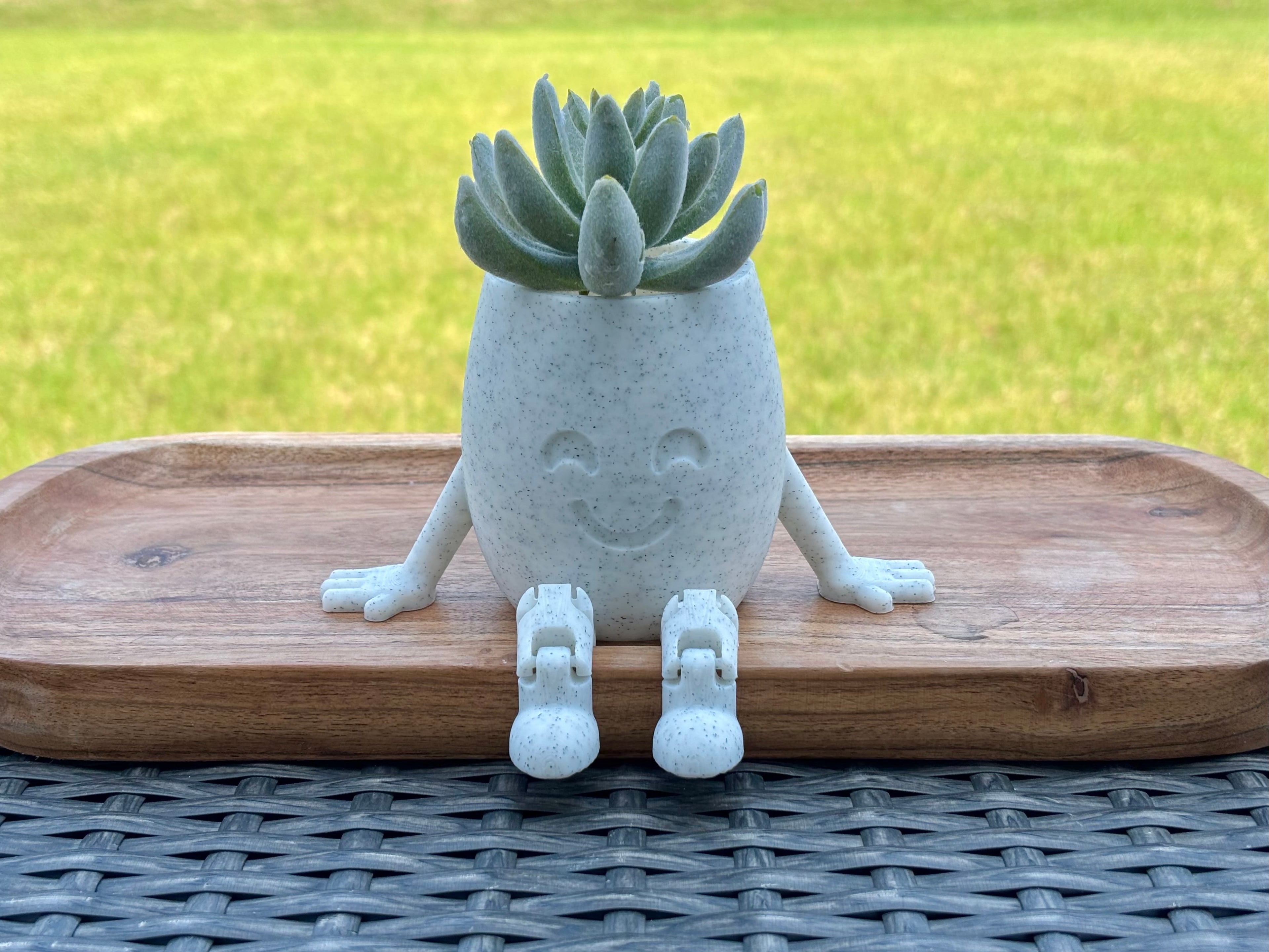 Happy Planter Pot, Succulent Planter, Succulent Pot, Indoor Planter